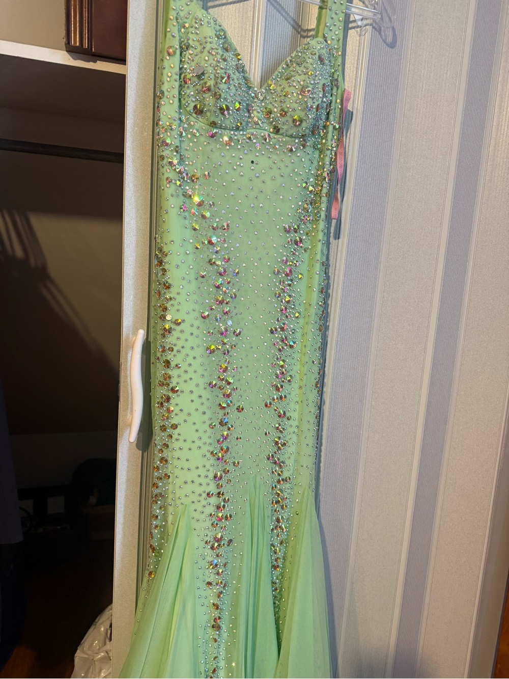 Embellished Mint Green Evening Gown